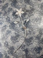 گل نقره