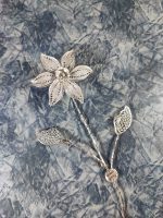 گل نقره