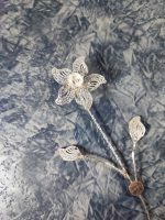 گل نقره